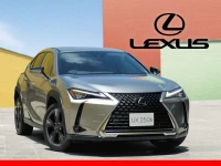 Lexus Promotion