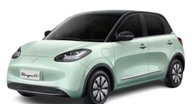 Wuling Binguo EV ทุกย่อย