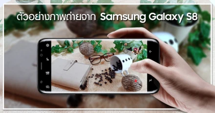 ชมตัวอย่างภาพถ่ายจาก Samsung Galaxy S8 สมาร์ทโฟนกล้องเทพ กับหน้าจอไร้ขอบสุดว้าว!