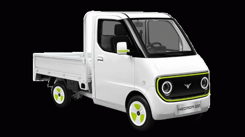 นีโอมอร์ Neomor D01 Micro Truck ปี 2024