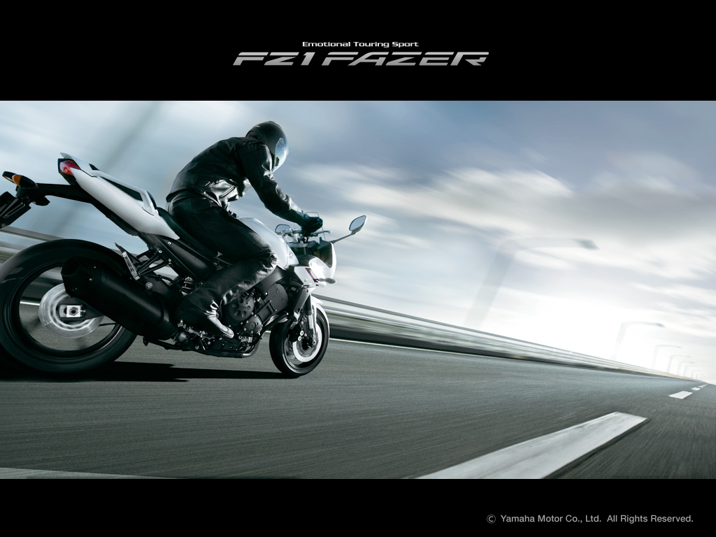 Yamaha FZ1 Fazer Standard ยามาฮ่า เอฟแซด1เฟเซอร์ ปี 2015 : ภาพที่ 10