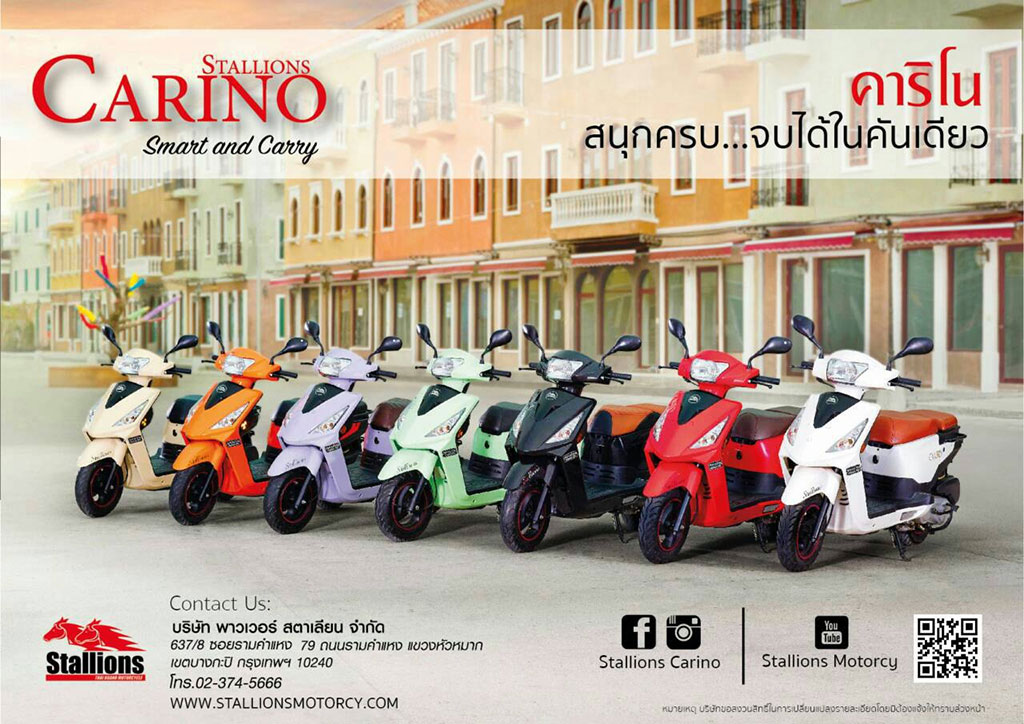 Stallions Carino Standard สตาเลียน คาริโน ปี 2015 : ภาพที่ 2