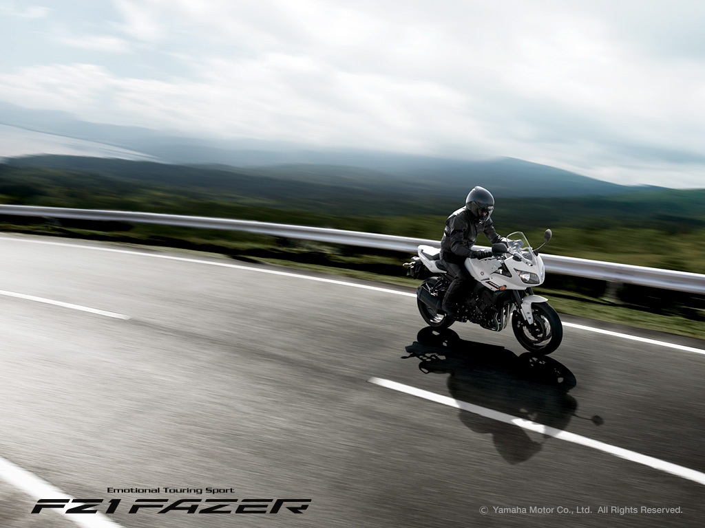 Yamaha FZ1 Fazer Standard ยามาฮ่า เอฟแซด1เฟเซอร์ ปี 2015 : ภาพที่ 11