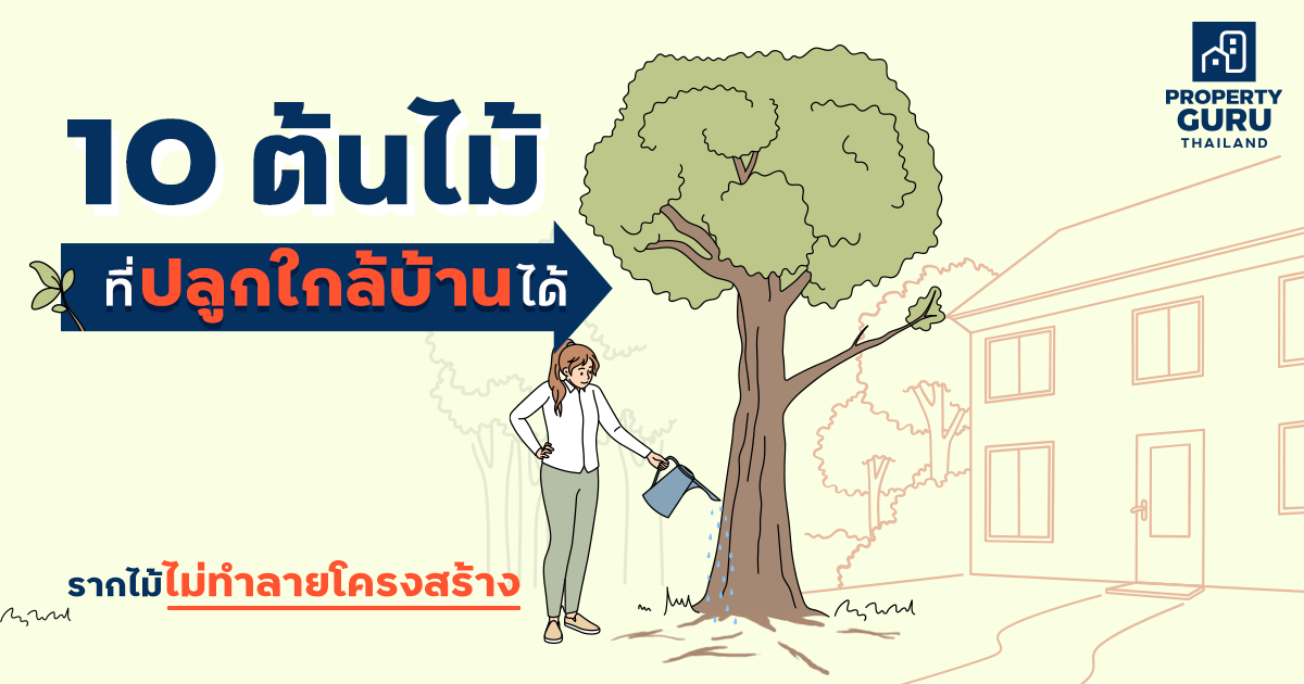 10 ต้นไม้ที่ปลูกใกล้บ้านได้ รากไม้ไม่ทำลายโครงสร้าง | เช็คราคา.คอม